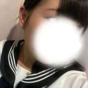 ヒメ日記 2025/12/29 13:08 投稿 めぐむ みつらん鉄道