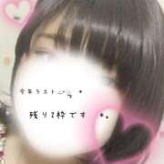 ヒメ日記 2025/12/31 04:14 投稿 めぐむ みつらん鉄道