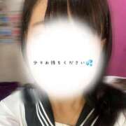 ヒメ日記 2025/12/31 13:27 投稿 めぐむ みつらん鉄道