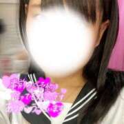 ヒメ日記 2025/12/31 18:44 投稿 めぐむ みつらん鉄道