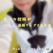 ヒメ日記 2025/12/31 20:34 投稿 めぐむ みつらん鉄道