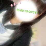 ヒメ日記 2026/01/07 10:44 投稿 めぐむ みつらん鉄道