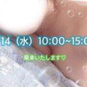 ヒメ日記 2026/01/13 23:14 投稿 めぐむ みつらん鉄道