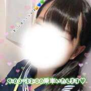 ヒメ日記 2026/01/17 06:04 投稿 めぐむ みつらん鉄道