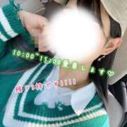 ヒメ日記 2026/01/20 09:04 投稿 めぐむ みつらん鉄道