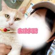 ヒメ日記 2026/01/23 06:04 投稿 めぐむ みつらん鉄道