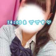 ヒメ日記 2026/01/24 11:43 投稿 めぐむ みつらん鉄道