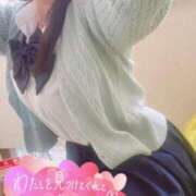 ヒメ日記 2026/01/24 19:34 投稿 めぐむ みつらん鉄道