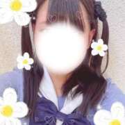 ヒメ日記 2026/01/25 12:16 投稿 めぐむ みつらん鉄道