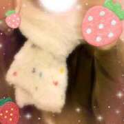 ヒメ日記 2026/01/27 11:05 投稿 めぐむ みつらん鉄道