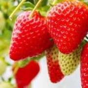 ヒメ日記 2026/01/27 19:47 投稿 めぐむ みつらん鉄道