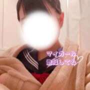 ヒメ日記 2026/02/02 10:24 投稿 めぐむ みつらん鉄道