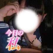 ヒメ日記 2026/02/03 12:54 投稿 めぐむ みつらん鉄道