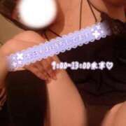 ヒメ日記 2026/02/07 08:44 投稿 めぐむ みつらん鉄道