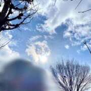 ヒメ日記 2026/02/08 15:43 投稿 めぐむ みつらん鉄道