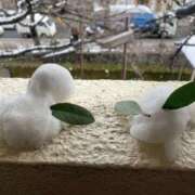 ヒメ日記 2026/02/09 11:44 投稿 めぐむ みつらん鉄道