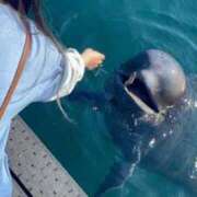 ヒメ日記 2026/02/11 13:44 投稿 めぐむ みつらん鉄道