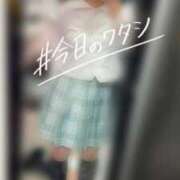 ヒメ日記 2026/02/17 21:14 投稿 めぐむ みつらん鉄道