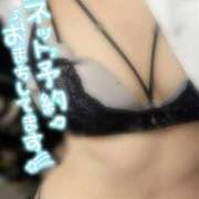 ヒメ日記 2026/02/17 22:04 投稿 めぐむ みつらん鉄道