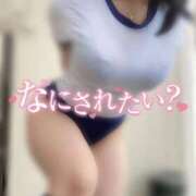 ヒメ日記 2026/02/19 04:04 投稿 めぐむ みつらん鉄道