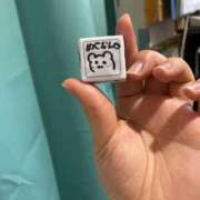 ヒメ日記 2026/02/19 10:34 投稿 めぐむ みつらん鉄道