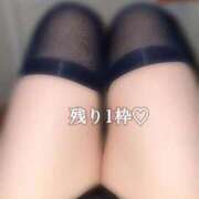 ヒメ日記 2026/02/20 11:44 投稿 めぐむ みつらん鉄道