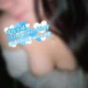 ヒメ日記 2026/02/20 12:04 投稿 めぐむ みつらん鉄道