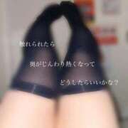 ヒメ日記 2026/02/21 00:44 投稿 めぐむ みつらん鉄道