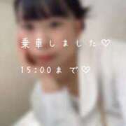 ヒメ日記 2026/02/21 12:24 投稿 めぐむ みつらん鉄道