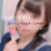 ヒメ日記 2026/02/23 20:15 投稿 めぐむ みつらん鉄道