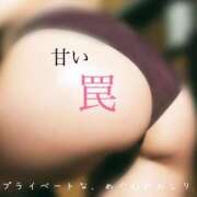 ヒメ日記 2026/02/23 21:14 投稿 めぐむ みつらん鉄道