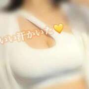 ヒメ日記 2026/02/23 21:49 投稿 めぐむ みつらん鉄道