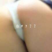 ヒメ日記 2026/03/01 14:14 投稿 めぐむ みつらん鉄道