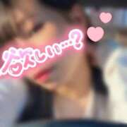 ヒメ日記 2026/03/02 10:21 投稿 めぐむ みつらん鉄道