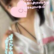 ヒメ日記 2026/03/03 22:44 投稿 めぐむ みつらん鉄道