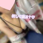 ヒメ日記 2026/03/04 09:05 投稿 めぐむ みつらん鉄道