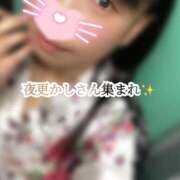 ヒメ日記 2026/03/05 02:04 投稿 めぐむ みつらん鉄道