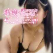 ヒメ日記 2026/03/07 18:22 投稿 めぐむ みつらん鉄道