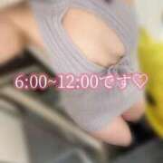 ヒメ日記 2026/03/08 05:14 投稿 めぐむ みつらん鉄道