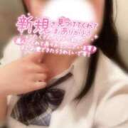 ヒメ日記 2026/03/13 20:00 投稿 めぐむ みつらん鉄道