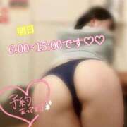 ヒメ日記 2026/03/18 21:45 投稿 めぐむ みつらん鉄道