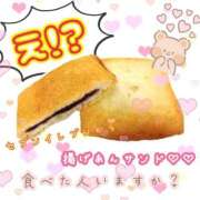 ヒメ日記 2026/03/25 23:47 投稿 めぐむ みつらん鉄道