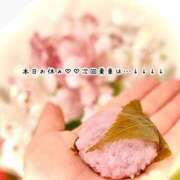 ヒメ日記 2026/04/02 20:24 投稿 めぐむ みつらん鉄道