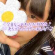 ヒメ日記 2026/04/05 00:04 投稿 めぐむ みつらん鉄道