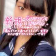 ヒメ日記 2026/04/05 05:54 投稿 めぐむ みつらん鉄道