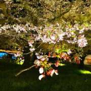 ヒメ日記 2026/04/07 08:08 投稿 めぐむ みつらん鉄道