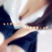 ヒメ日記 2026/04/08 16:34 投稿 めぐむ みつらん鉄道