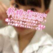 ヒメ日記 2026/04/10 22:24 投稿 めぐむ みつらん鉄道