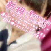 ヒメ日記 2026/04/14 16:54 投稿 めぐむ みつらん鉄道