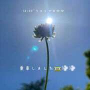 ヒメ日記 2026/05/10 14:14 投稿 めぐむ みつらん鉄道